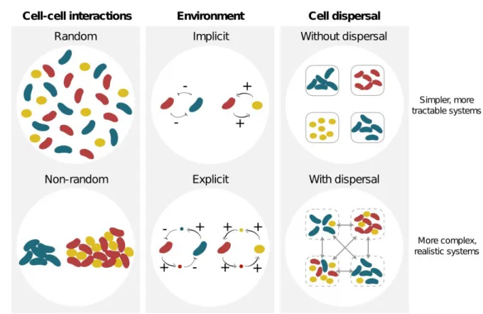 Figure 1.  Variety of potential interactions between organisms and their environment.