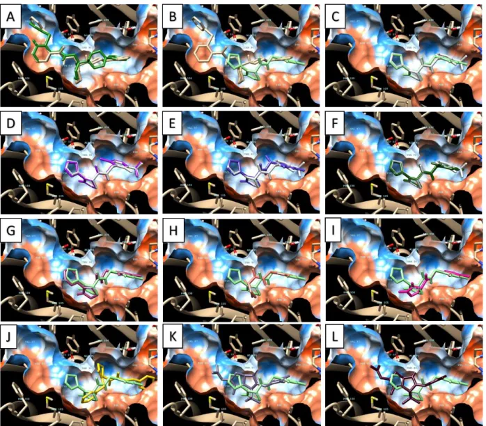 Figure 5.  Docking  poses  predicted  for selected  compounds  with JNJ47965567  as reference (A: 