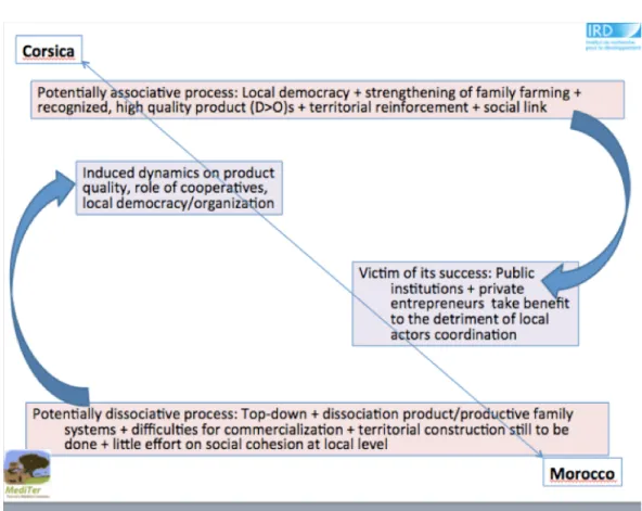 Fig. 1 summarizes the challenges of local product and heritage development in Corsica and Morocco