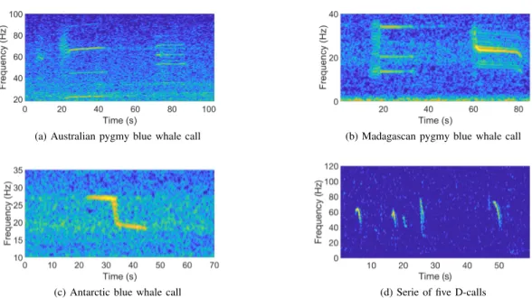 Fig. 2. Spectrogram of blue whale calls used to assess performance of the detector. (a) Australian pygmy blue whale stereotyped call (b) Madagascan pygmy blue whale stereotyped call (c) Antarctic blue whale stereotyped call (Z-call) (d) Serie of 5 D-calls