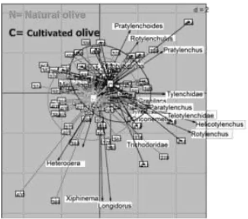 Fig. 1: Dominance of PPN families in samples  Fig. 2: Community patterns in natural and  cultivated olive 