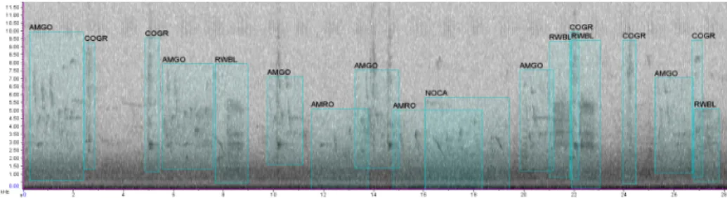Fig. 1: Example of an annotated soundscape recording. Expert birders provided more than 80,000 bounding box annotations using the Raven Pro analysis  soft-ware