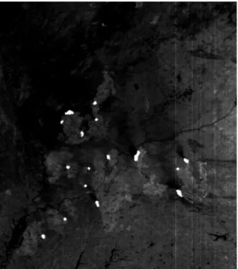 Fig. 7 – En haut :Extrait du r´esultat obtenu sur l’image BIRD( c DLR, 300 m`etres de r´esolution) du 04/05/2003 en canal thermique (clusters blancs : p l = 0.05)