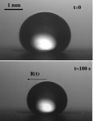 FIG. 3: Leidenfrost droplet life-time as function of the ra- ra-dius for two different pressure: top red (color on-line) P = 50 mbar, bottom black P = 1 bar
