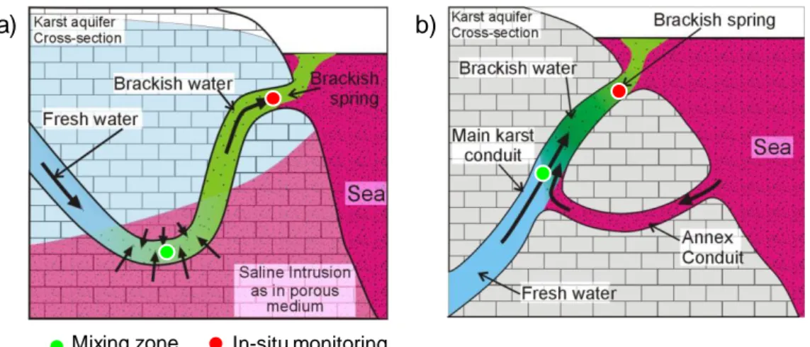 Figure 1: Conceptual cross-section of a coastal karst aquifer. a) Saline intrusion as in porous  medium, with a saltwater wedge crossed by a karst conduit connected to the submarine spring
