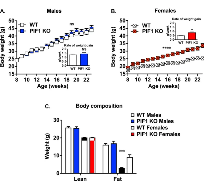 Fig 2. PIF1 knockout (KO) females, but not males, showed accelerated fat deposition compared with wild type (WT) mice during Western diet (WD) feeding