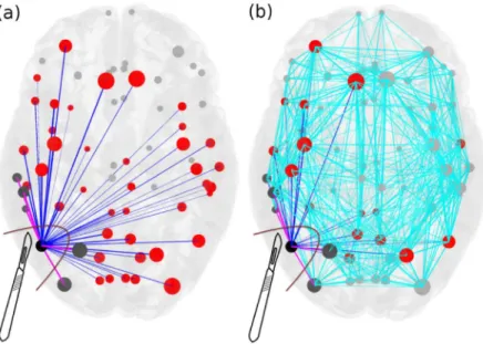 Fig 2. Scheme for comparison of standard resection methods, where the entire epileptogenic zone (EZ) is removed during surgical operation, versus lesioning minimal number of links