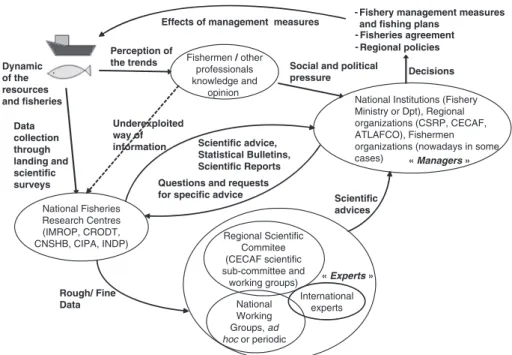 Fig. 9.2  An overview of the scientific information and advice network in the Sub-Regional Fisheries Commission  region