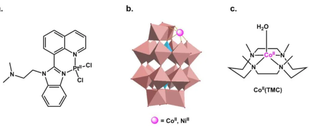 Figure 9. Inorganic drug candidates developed to fight AD.  