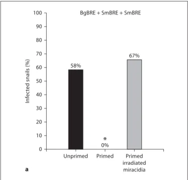 Fig.  3. a  Infection, rates, of, BgBRE, snails, subjected, to, primary infection, with, 0E, irradiated, or, nonirradiated, SmBRE, miracidj iaO, and, then, secondarily, infected, with, 0E, SmBRE, miracidia1,