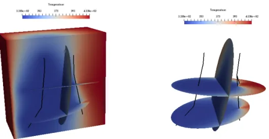 Figure 11: Left: temperature in the matrix domain and in the faults at t = 5 × 10 6 days where a clip view on plane {y = 1000} is used in the matrix domain