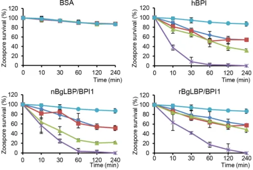 Figure 6. Injection of BgLBP/BPI1 dsRNA results in a substantial decrease in BgLBP/BPI1 protein in the albumen gland and in egg masses