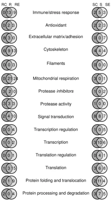 Figure 4. B. glabrata genes in different GO categories found to be differentially expressed