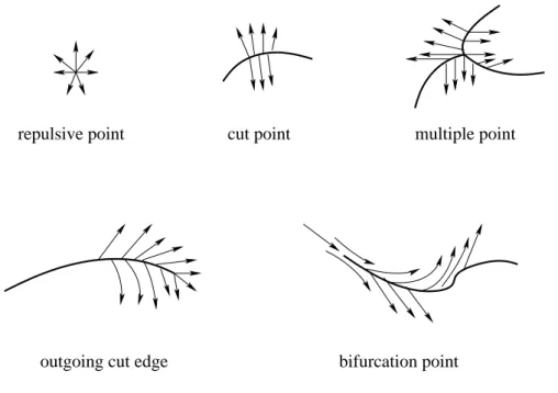 Figure 1. Different types of singularities.