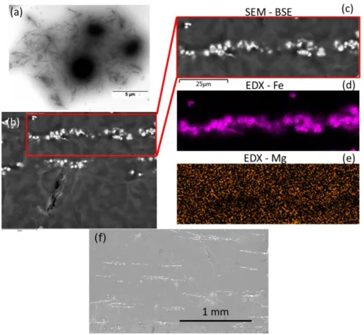 Fig. 2. TEM micrograph of the liquid MRF containing  iron and sepiolite dispersed in the  silicone oil (a); SEM  image  of  a  cross-section  of  silicone  MR  elastomer  cured  in  the  presence  of  a  magnetic  field  and  containing  5vol% of sepiolite