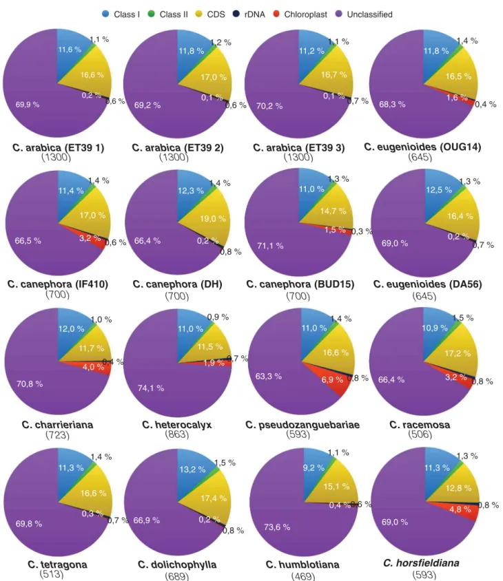 Fig. 1   Composition of 454 reads for 11 Coffea species and 14 acces- acces-sions.  Class  I  and Class  II  are  known  transposable  element  coding  regions, CDS cellular coding regions, rDNAs ribosomal DNA genes