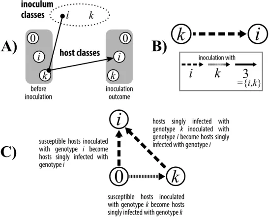 Figure 2.2.1. – Mapping formulation and associated representation in the dimorphic case.