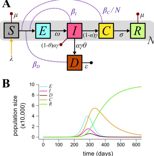 Figure 0.2.1. – Epidemiology of Ebola Virus in humans.