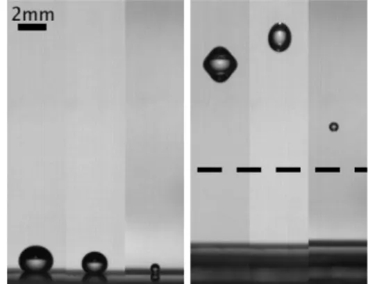 FIG. 2: The figure displays snapshots of three experiments performed with several drop sizes and the same catapult  char-acteristics (f = 37 Hz and A = 1.4 mm), see movie M1 [19].