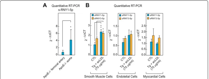 Fig. 3 s-RNYs are released in the extracellular milieu by foam cells and in the peripheral blood of two mouse models for atherosclerosis