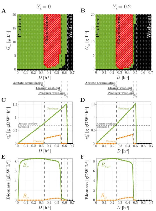 Fig 5. Steady-state analysis of the consortium in chemostat. Left: Y h = 0; Right: Y h = 0.2