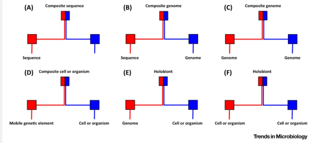 Figure I. Several Illustrations of Mosaicism through Merging Events. (A) Composite genes result from the fusion of different gene domains