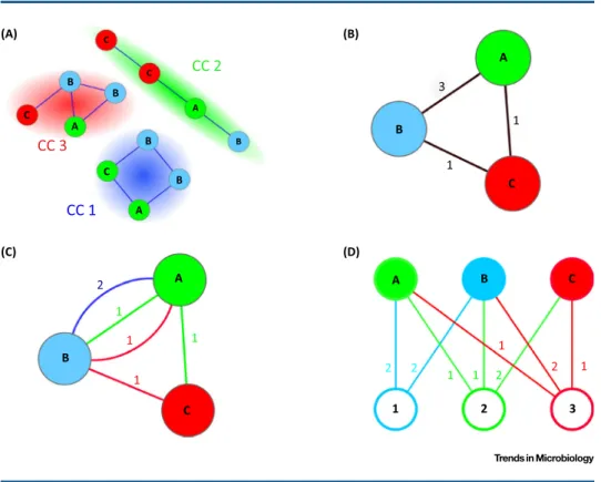 Figure 1. (A) Sequence-similarity network (SSN): each node (circle) represents a protein-coding gene sequence; the color and the label of the node represent the genome where the gene is found