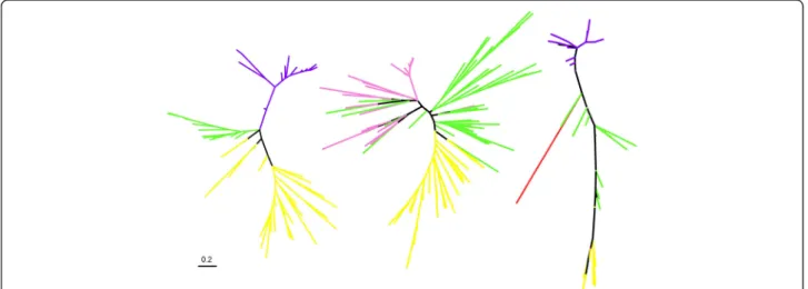 Fig. 5 A phylogeny-based illustration of the actual divergence of some of the environmental homologs detected in our networks