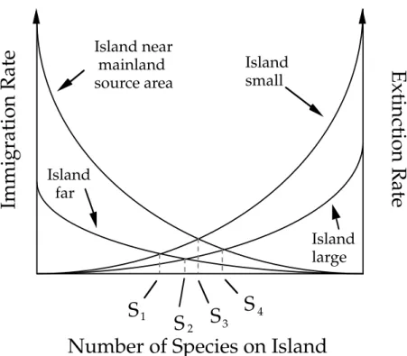 Figure  3.  MacArthur  &amp;  Wilson  (1967)  were  the  first  to  combine  dispersal  limitation  and  demographic drift into a simple model, that aims at explaining the number of species found on  islands