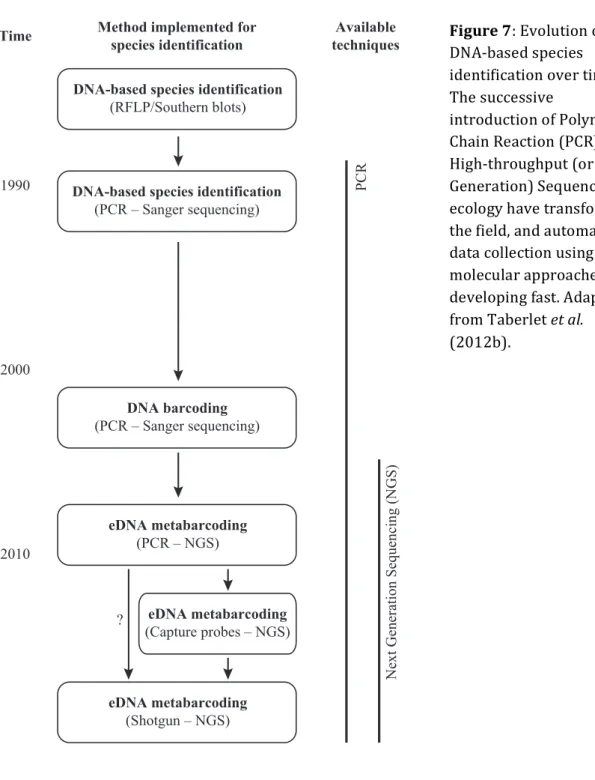 Fig. 1 DNA-based species identification. Past and current approaches, and possible future trends.