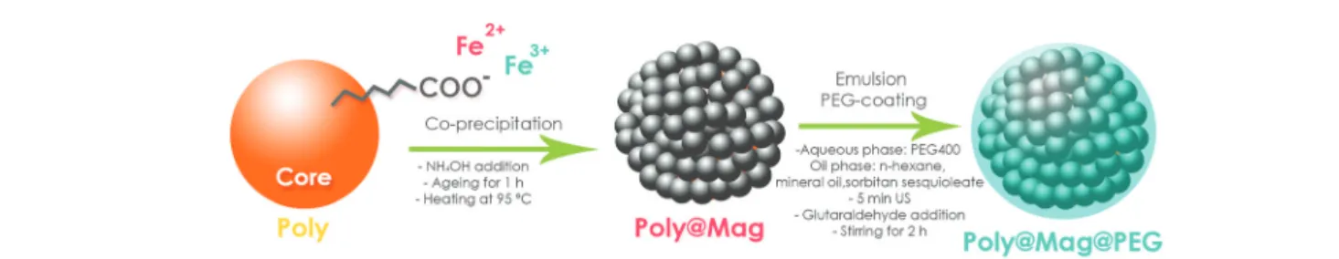 Fig. 1 Sketch of the procedure for magnetic core – shell nanostructure synthesis. In a ﬁ rst step, spheres of acrylic copolymers functionalized with COO − groups (Poly) were used as cores for electrostatic adsorption of Fe 2+ and Fe 3+ cations, and subsequ
