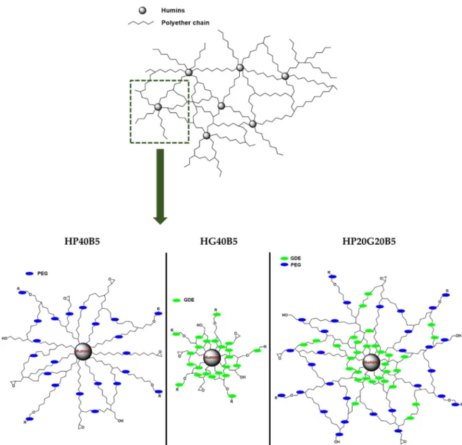 Figure 7. Proposed structures of the obtained polymer networks. 