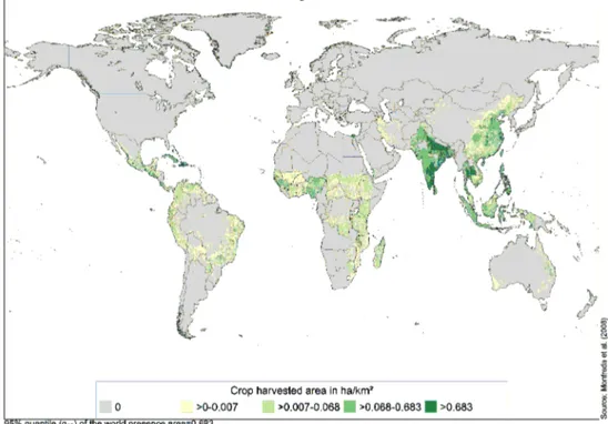 Figure 5 – Surfaces en vergers de manguiers récoltés (ha/km 2 ) à l’échelle mondiale (Monfreda et al., 2008).