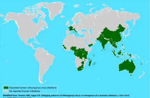 Figure 2. Pays où des cas d'infections au virus chikungunya ont été rapportés (mise à jour mai  2012)