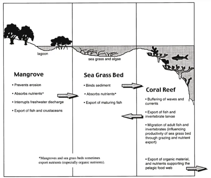 Figure 14 : Interactions entre les écosystèmes. Source : Moberg et Folk, 1999. 