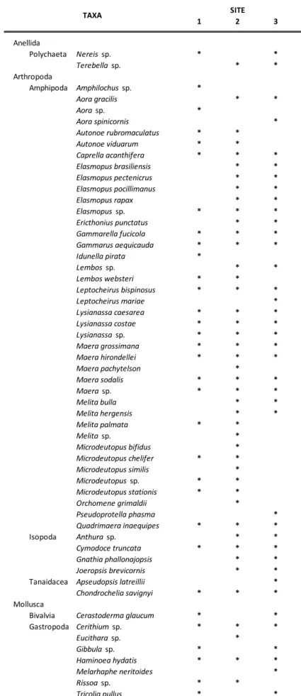 Table 1. List of all taxa identified in the three sites: Site 1, Site 2 and Site 3 (*/ : presence/absence)
