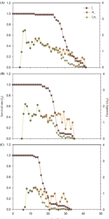 Figure 2.  Age-specific survival rate (l x ), age-specific fecundity (m x ) and age-specific maternity (l x m x ) of control  (A) and A