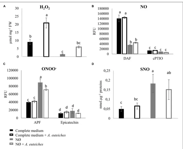 FIGURE 4 | H 2 O 2 , NO, ONOO − , and SNO quantification in Medicago truncatula roots 7 dpi