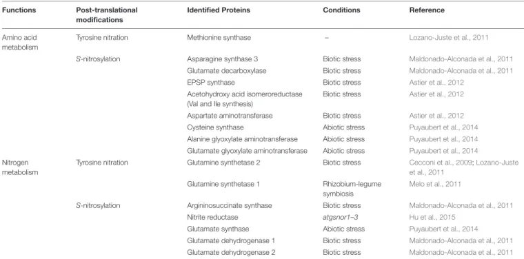 TABLE 1 | Examples of S-nitrosylated or Tyr-nitrated proteins involved in N and amino acid metabolism.