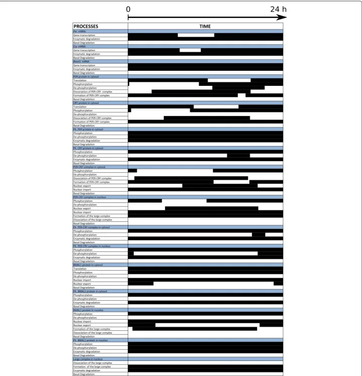 Fig. 4 Activity of the 76 model processes during a 24-h period. Processes are listed in the first column (white background), ordered by variable (blue background)