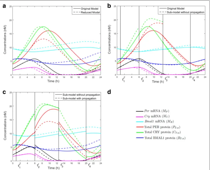 Fig. 7 Model outputs along time for: a the original model (solid lines) and the reduced model (dashed lines); b the original model (solid lines) and the coupled sub-models without propagation errors (dashed lines); c the coupled sub-models, with (dashed li