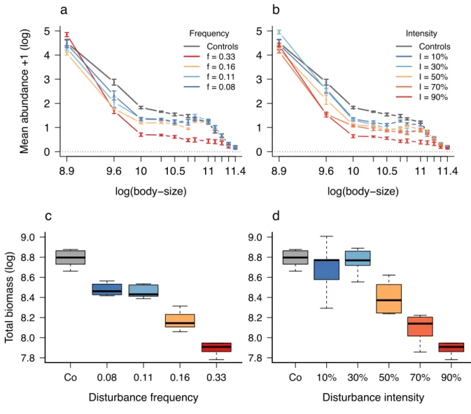 Figure 4: Experimental results. a) Effect of disturbance frequency on community size-structure