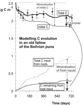 Fig. 2. Modelling of the turnover of carbon in a fallow plot of the Bolivian puna [6] 