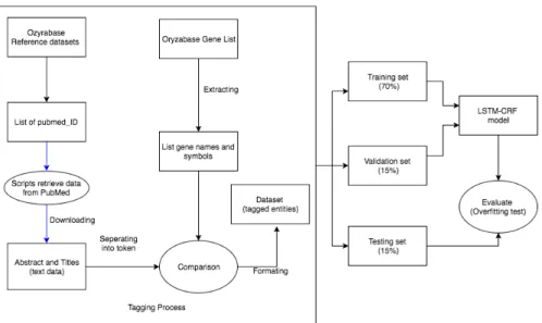 Fig. 3. Schema of the training process