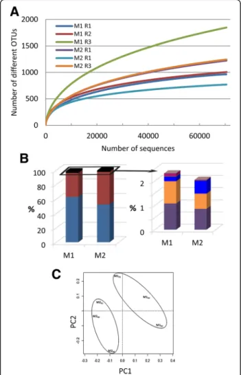 Fig. 1 a Rarefaction curves of observed OTUs richness for each of the three M1 and M2 replicates and using an OTU threshold of ≥ 97%