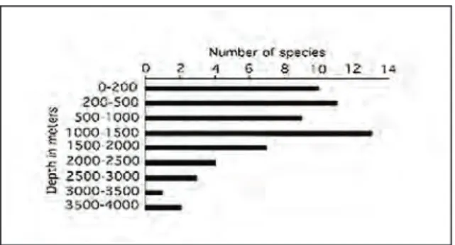 Figure 2. Samples depth range of the 23 species of Haploops from the world's Ocean. Nine species were only recorded in a  single  depth  range:  3  (0–200  m);  2  (500–1000  m);  3 (1000–1500 m); 1 (3500–4000 m).