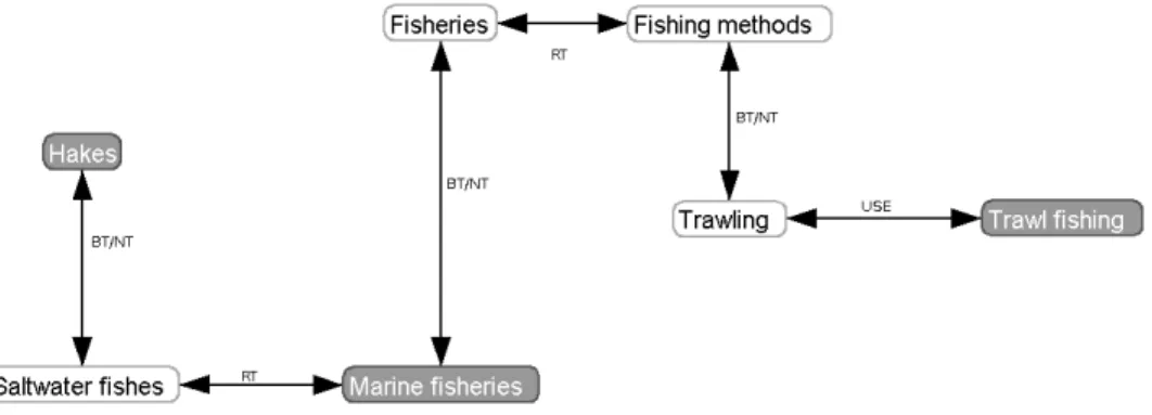 Fig. 2. Network of extracted knowledge (with the Prefuse visualization toolkit, http://prefuse.org/)