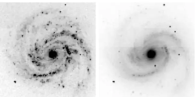 Figure 2: The barred spiral galaxy PGC (principal galaxies catalogue) 40153 from the SDSS in band u (near UV) and z (near IR)