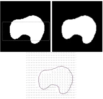 Figure 2: Segmentation of a translation domain on a translation background: (from left to right and top to bottom) the initial contour superimposed on the image of the first component of the vector field, the final  con-tour on the same image, and the fina