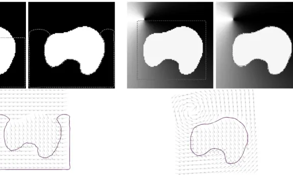 Figure 3: Segmentation (interrupted before conver- conver-gence) of a translation domain on a translation  back-ground: (from left to right and top to bottom) the initial contour superimposed on the image of the first  compo-nent of the vector field, the f